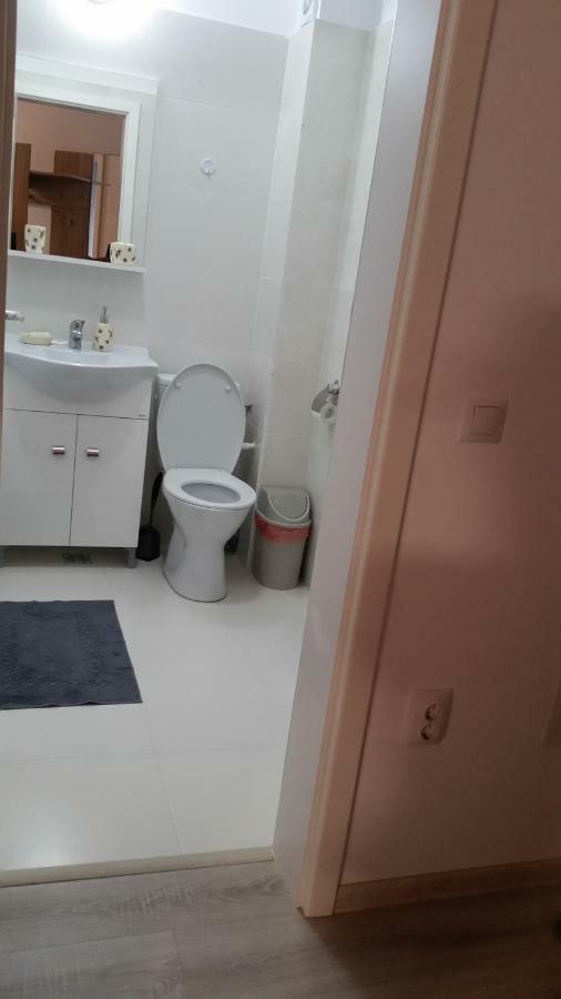 Kolonaki Domus Apartment Iasi Extérieur photo